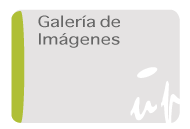 Galer�a de im�genes