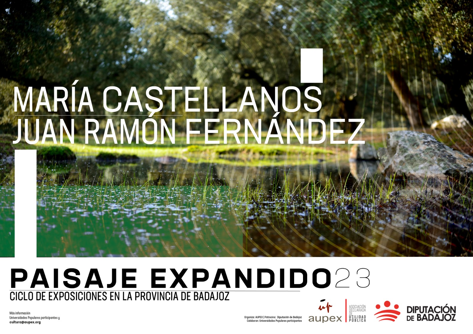 Imagen noticia