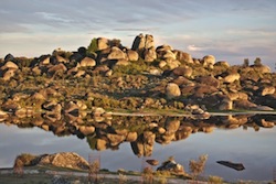 creofonte