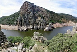 creofonte